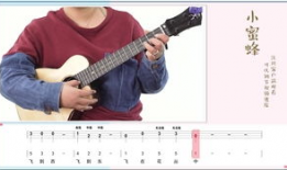 尤克里里入门教程视频,轻松掌握弹奏技巧与乐理知识